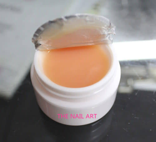 15 G SINA FRENCH NUDE GEL