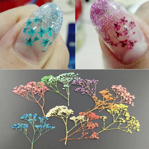 NAIL ART DRY FLOWERS