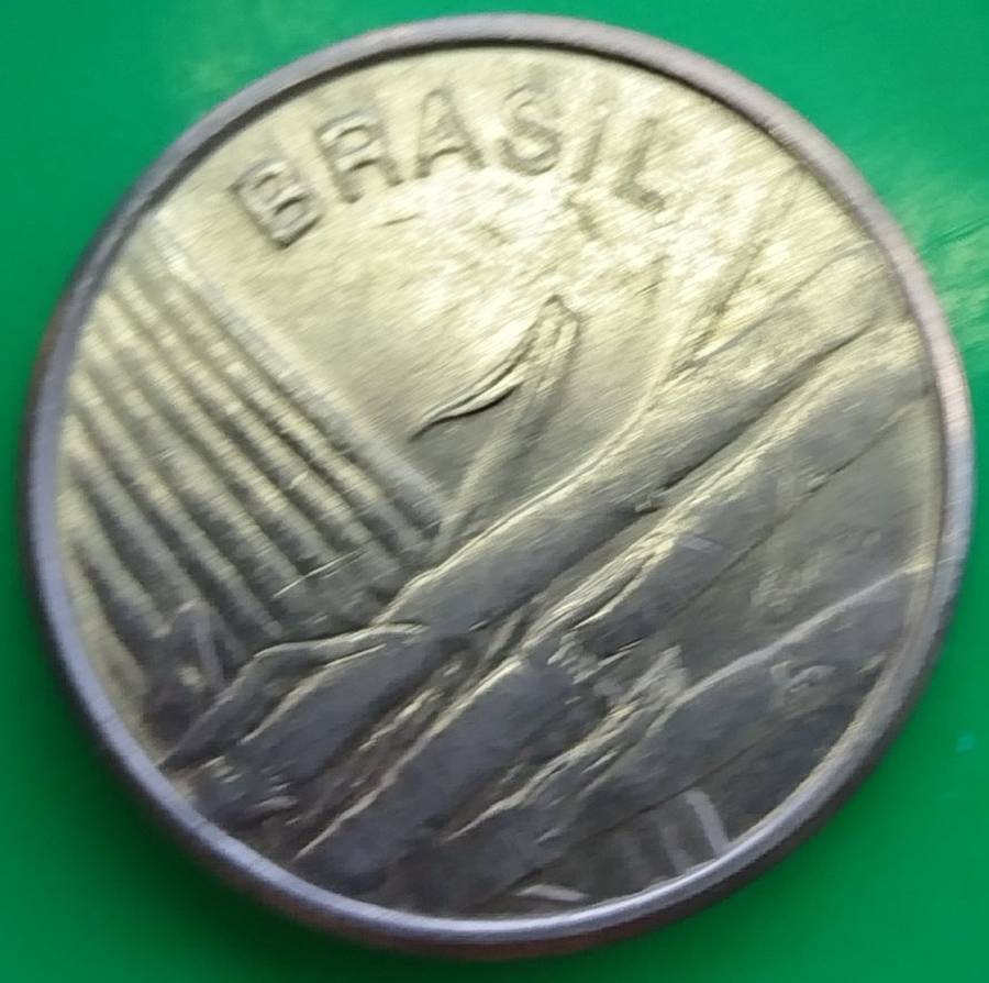 1980      1  Cruzeiros         Brazil       SUN13618~