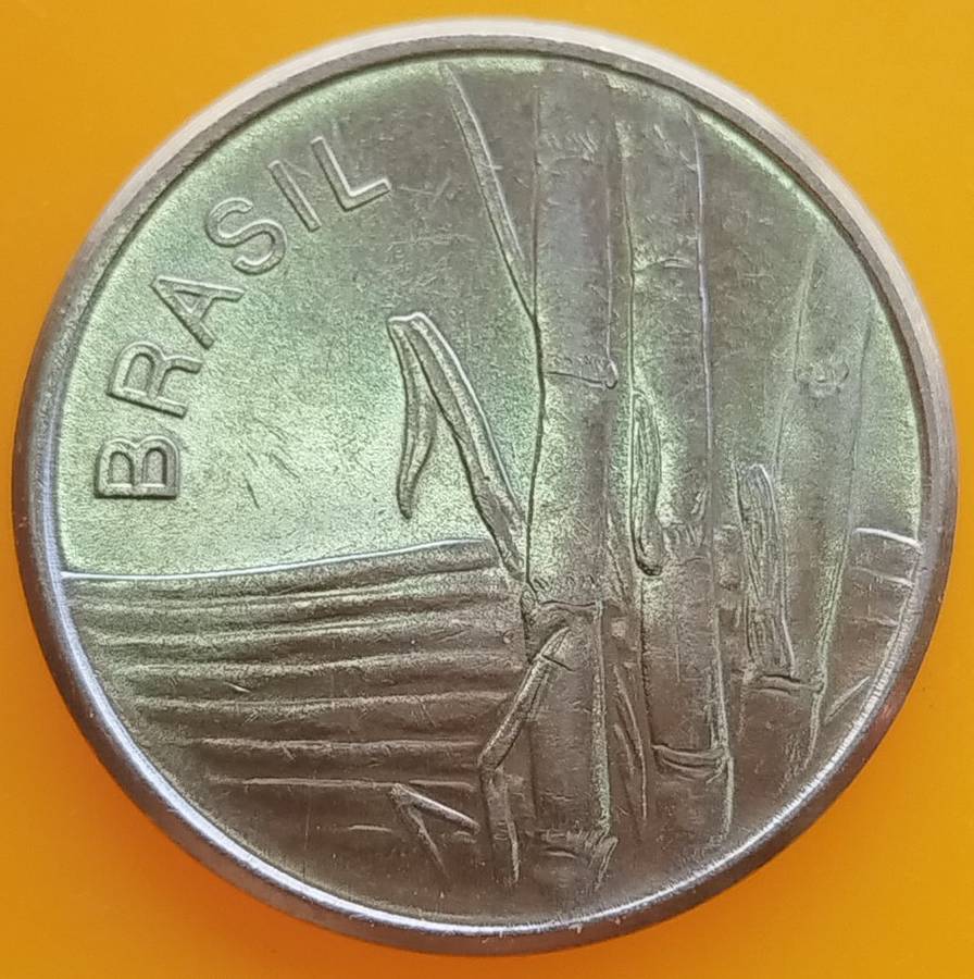1981      1  Cruzeiros         Brazil       SUN13794~