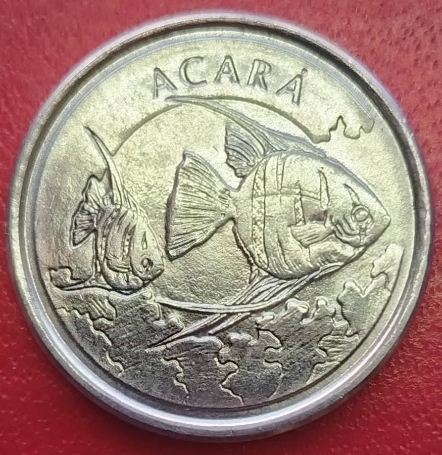 1993      1000  Cruzeiros         Brazil       SUN14474