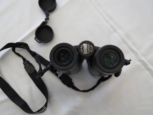 Bushnell Binoculars 10 x 42 Excursion Waterproof