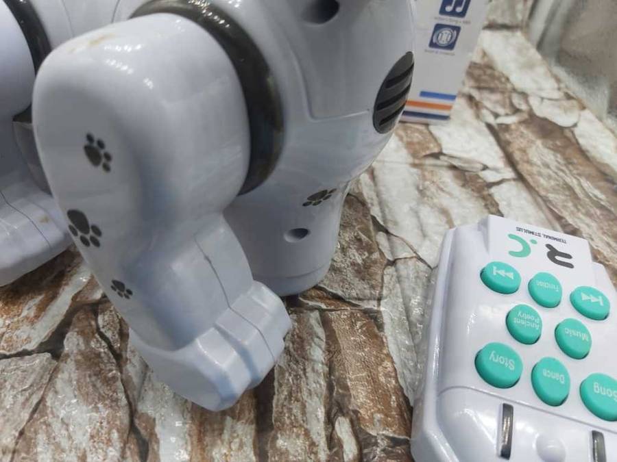 EDUCATIONAL NAUGHTY DOG -CUTE MUSIC DOG