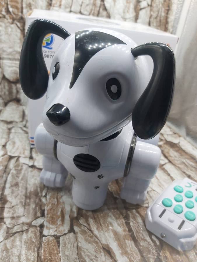 EDUCATIONAL NAUGHTY DOG -CUTE MUSIC DOG