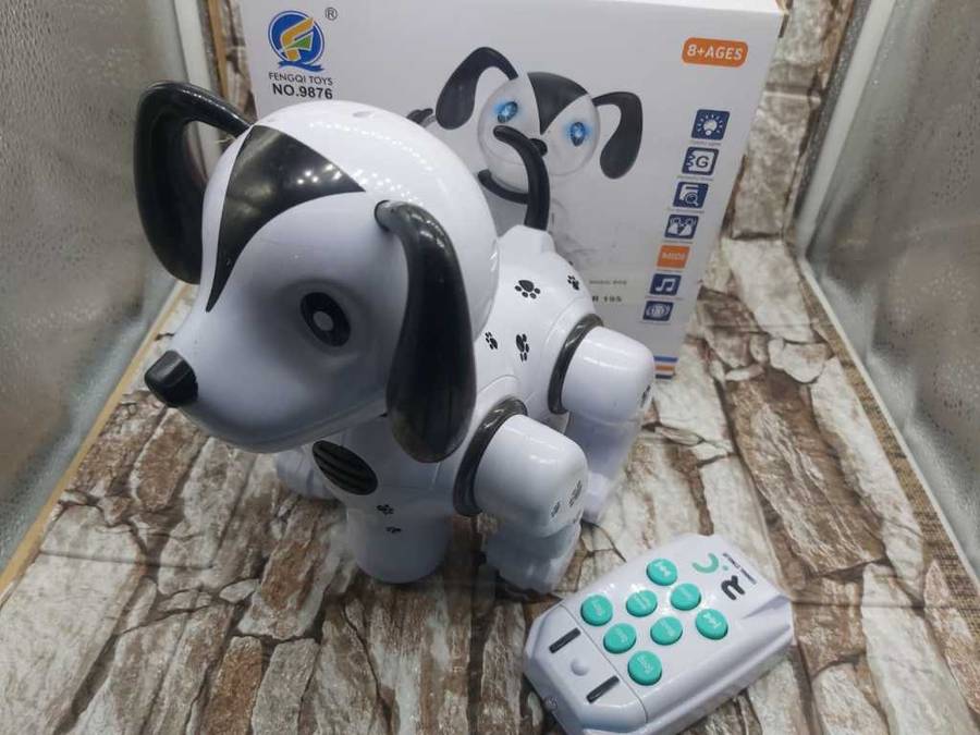 EDUCATIONAL NAUGHTY DOG -CUTE MUSIC DOG