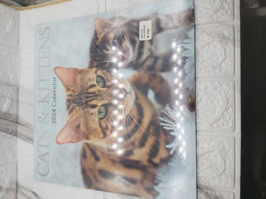THEMED MOIVATIONAL 2024 CALENDARS ---CUTE KITTENS :-)