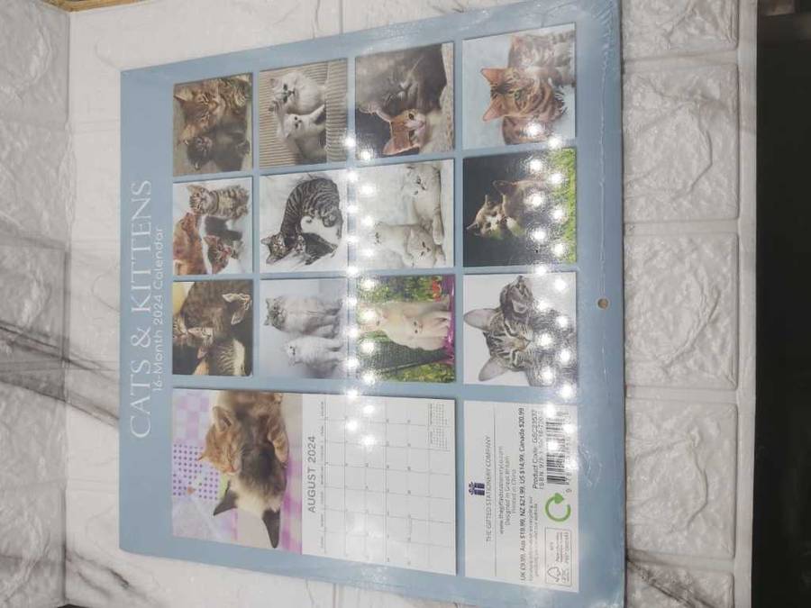 THEMED MOIVATIONAL 2024 CALENDARS ---CUTE KITTENS :-)