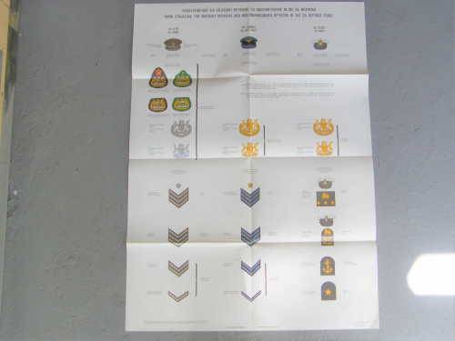 Rank structure for warrant officers and NCO's of the SADF poster - Size: 82cm x 59.5cm