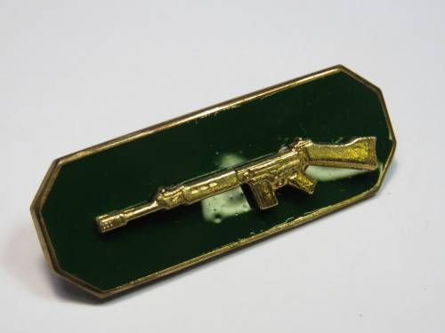 SA Prison service Marksman shooting breast badge