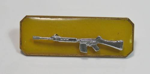 SADF school cadets sharpshooter badge