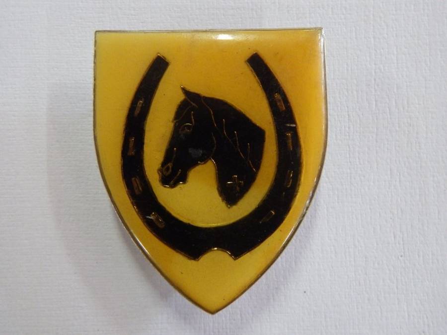 SADF Equestrian centre shoulder flash