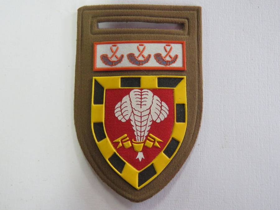 SADF 1 SA Infantry tuypperware flash with orange Free State command bar - No pin - Glue on back