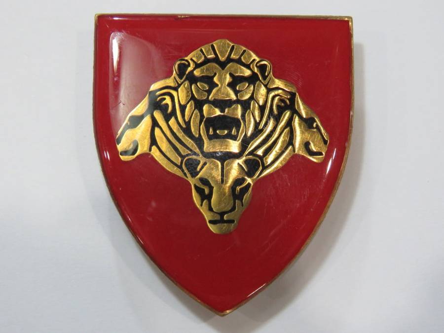 SADF Pride of the Lion shoulder flash