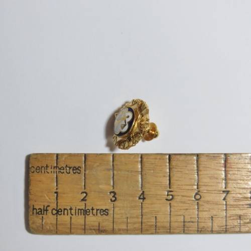 Chinese Justice Scale pin badge