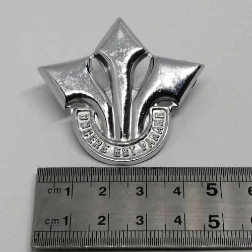 SADF Corps of professional officers cap badge