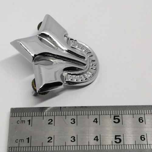 SADF Corps of professional officers cap badge
