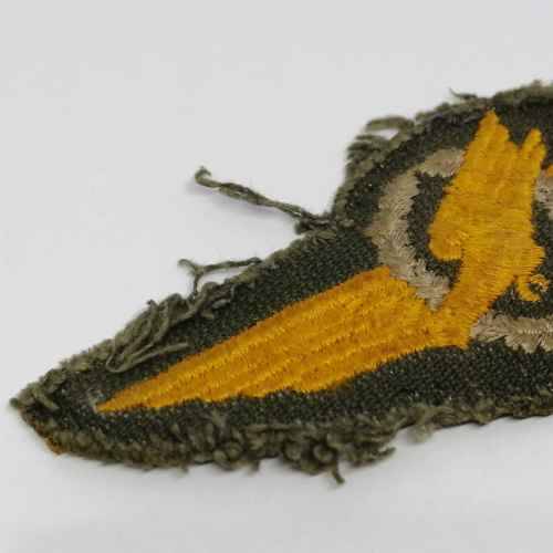 German Air Force paratrooper wing - post ww2