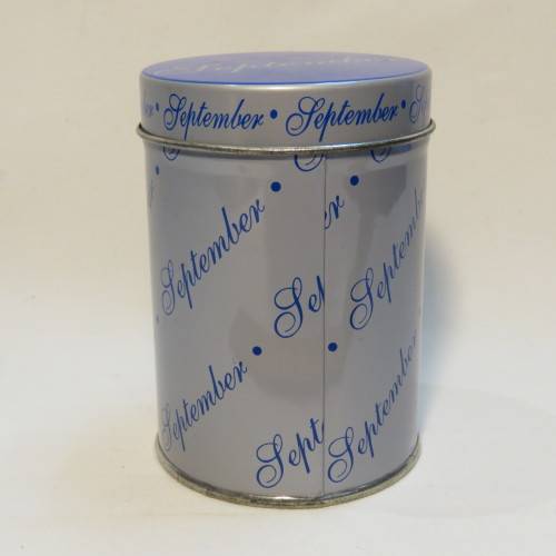 September Sapphire Birth stone bear in original tin