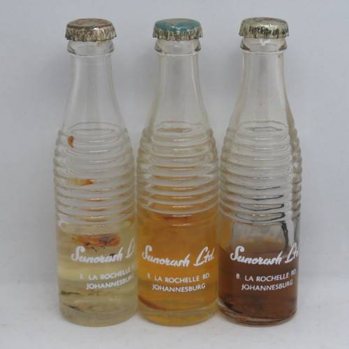 Lot of 3 vintage Suncrush Special miniature cooldrink bottles