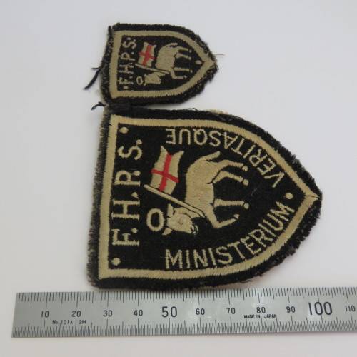 Lot of 2 Vintage Fish Hoek Primary school badges