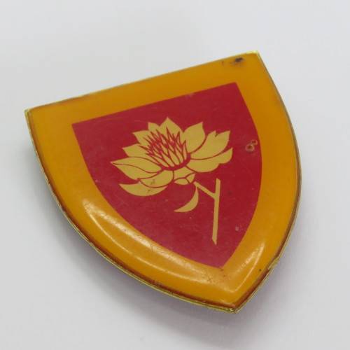 SA Army Womens college shoulder flash