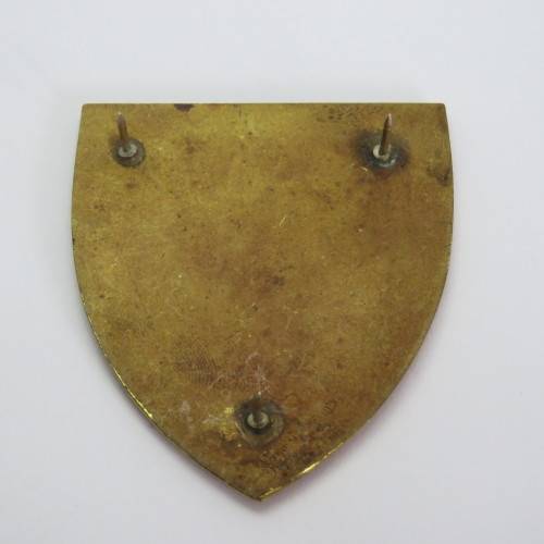 SA Army Womens college shoulder flash