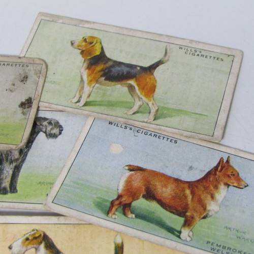 Cigarettes cards - Dogs by WD and HO Wills - lot of 19 out of 50 cards