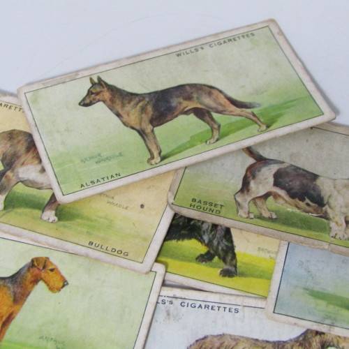 Cigarettes cards - Dogs by WD and HO Wills - lot of 19 out of 50 cards