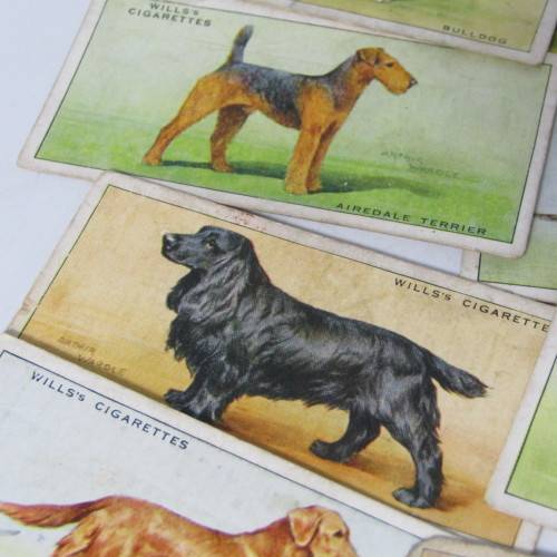 Cigarettes cards - Dogs by WD and HO Wills - lot of 19 out of 50 cards