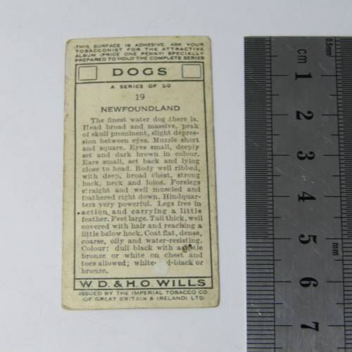 Cigarettes cards - Dogs by WD and HO Wills - lot of 19 out of 50 cards