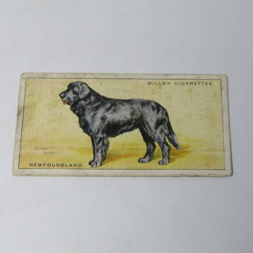 Cigarettes cards - Dogs by WD and HO Wills - lot of 19 out of 50 cards