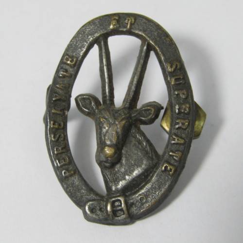 SADF 8 SAI cap badge