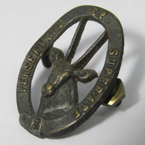 SADF 8 SAI cap badge