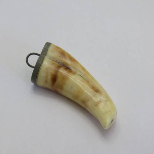 Vintage Lion`s tooth pendant