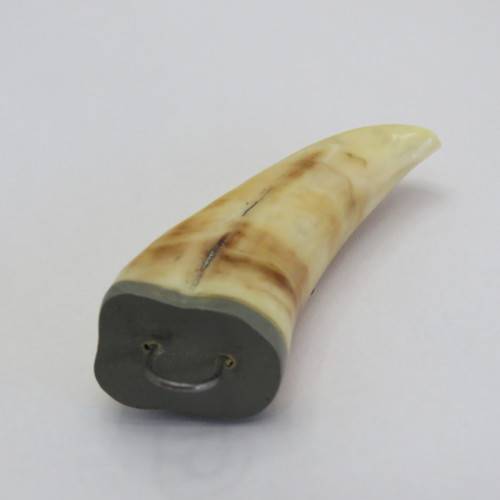 Vintage Lion`s tooth pendant