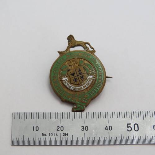 Vintage Wellington Opleidings Kollege training college pin badge