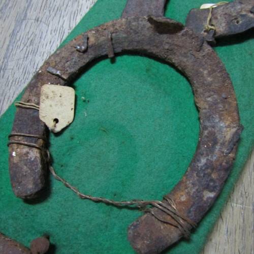 Board with antique horseshoes, some for oxen and ponies originating from South West Africa