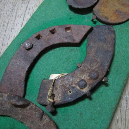 Board with antique horseshoes, some for oxen and ponies originating from South West Africa