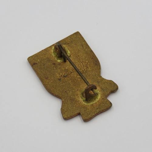 Vintage De Villiers Graaff High School pin badge
