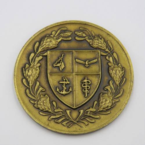 SA Defence Force Sport division medallion