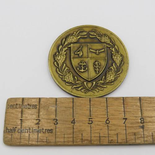 SA Defence Force Sport division medallion