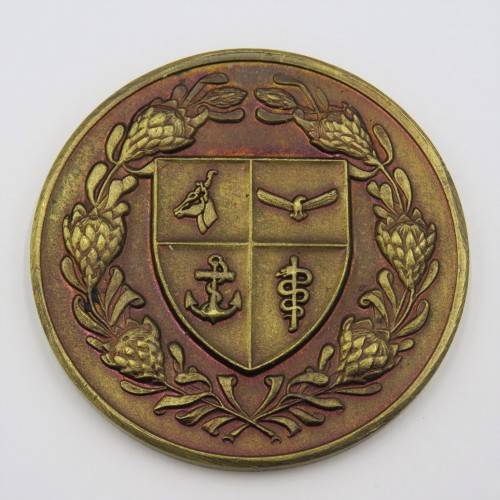 SA Defence Force Sport division medallion