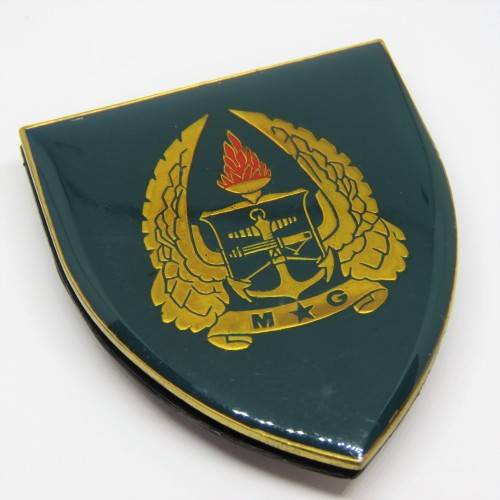 SADF Military Gymnasium shoulder flash