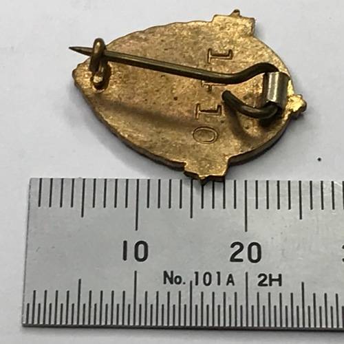 1946 Bloemfontein SARRC-SASOK pin badge