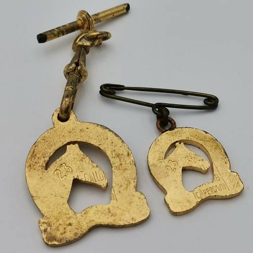 Pair of Pietermaritzburg city sporting club medallions