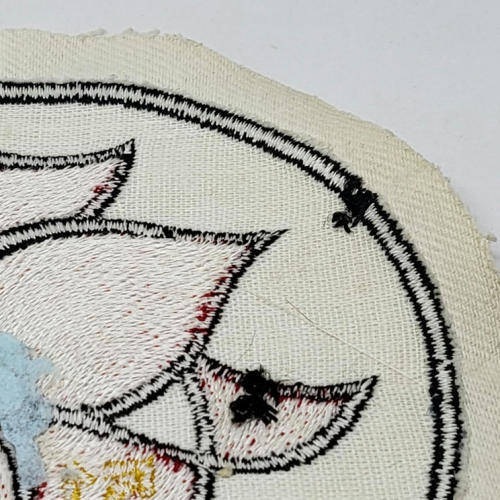 German Air Force 51 Reconnaissance wing recovery squadron patch