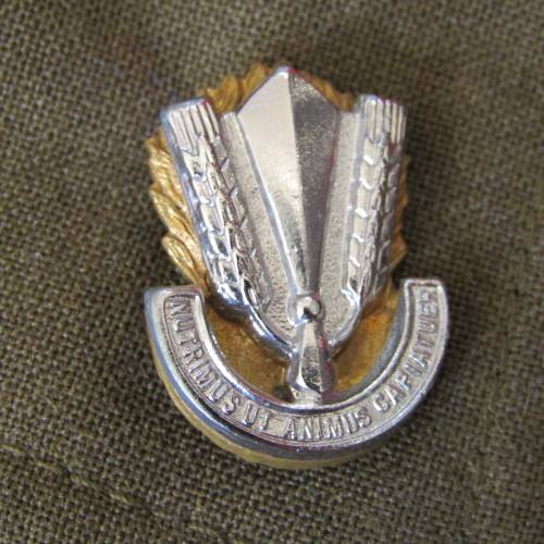 SADF Catering Corps Lieutenant step out tunic