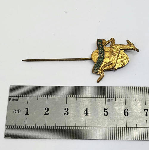 1955 Springboks rugby British Tour pin badge