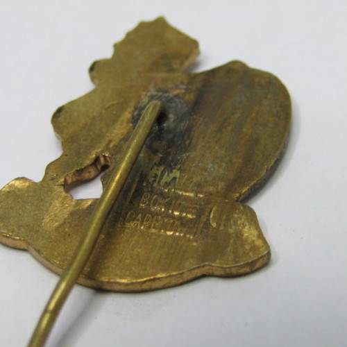 1955 Lions South Africa Rugby Tour stick pin badge
