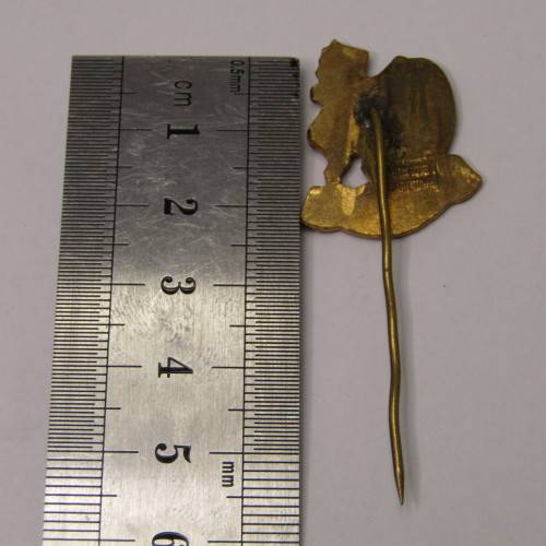 1955 Lions South Africa Rugby Tour stick pin badge